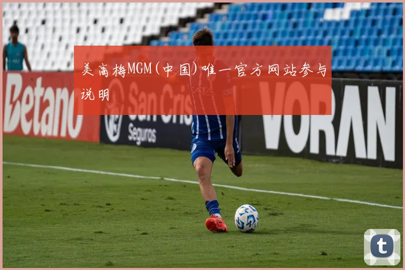 美高梅MGM(中国)唯一官方网站参与说明